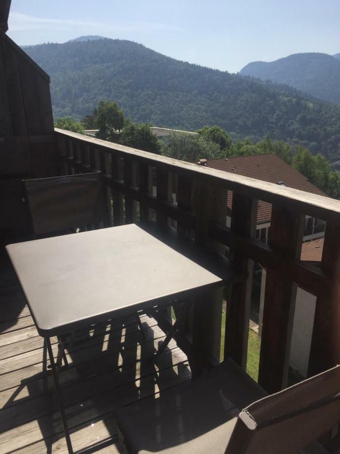 Charmant T3 Bussang, Vosges, Vue Imprenable Exterior photo